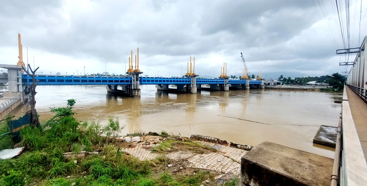 Đập ngăn mặn sông Cái Nha Trang có làm ảnh hưởng thoát lũ? - Ảnh 1.
