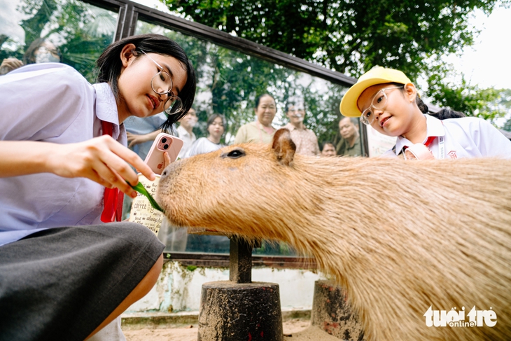 Cùng học sinh khám phá Thảo cầm viên: Bài học khoa học về bảo tồn thiên nhiên - Ảnh 4.