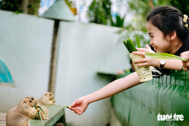 Cùng học sinh khám phá Thảo cầm viên: Bài học khoa học về bảo tồn thiên nhiên - Ảnh 5.