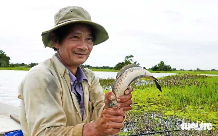 Về rốn cá U Minh Thượng xem dân săn cá lóc đồng - Ảnh 1.