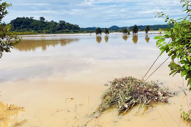 thủy điện - Ảnh 1.