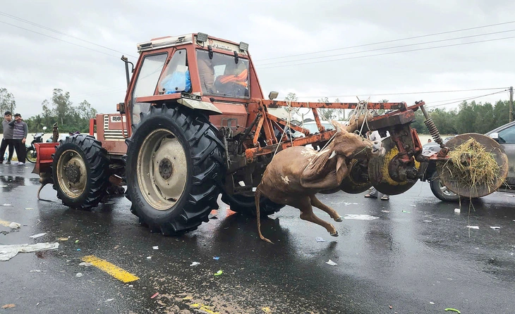 Nỗi đau xé lòng cuối dòng sông Bàn Thạch- Ảnh 2.