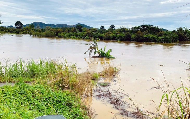 Chính quyền nói ‘không nhận được thông báo chính thức xả lũ’: Công ty thủy điện Đồng Nai 5 nói gì? - Ảnh 4.