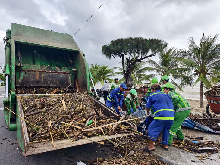 môi trường - Ảnh 1.