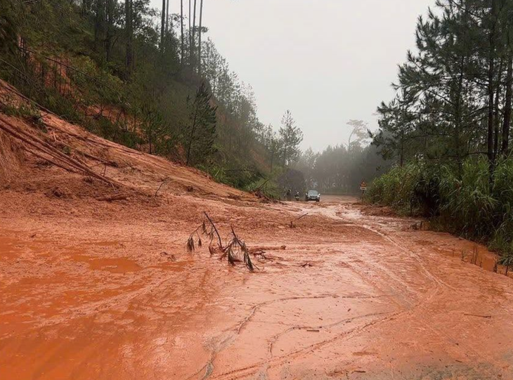 khánh lê - Ảnh 1.