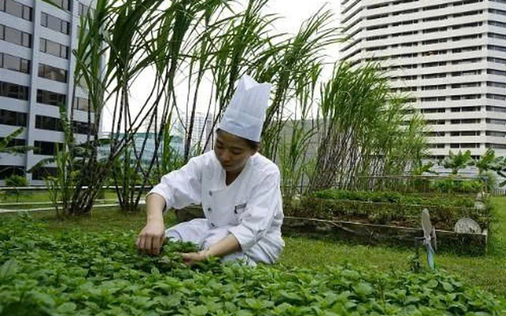 Người tiêu dùng mạnh tay chi tiêu cho rau sạch: An tâm trở thành một loại dịch vụ - Ảnh 2.