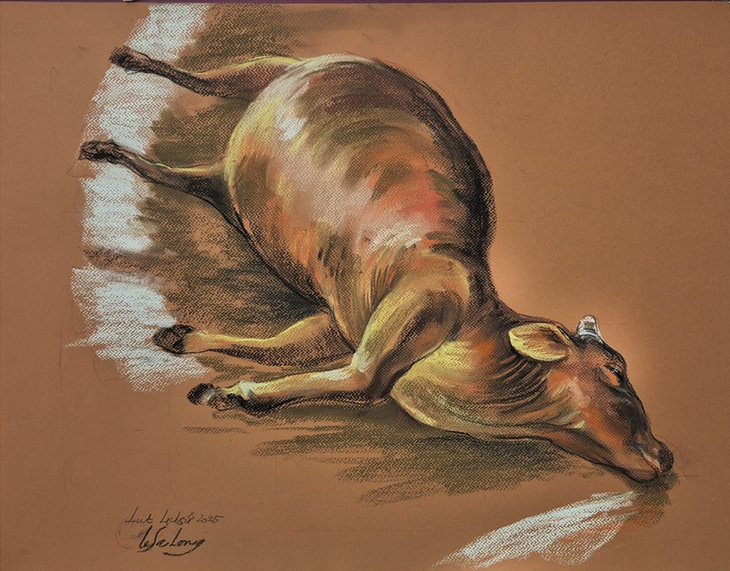 Lê Sa Long - Ảnh 10.