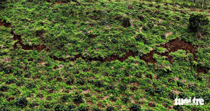 Tiếp tục sơ tán khẩn cấp dân sống gần quả đồi 'rách đôi' ở vùng lũ Đa Nhim - Ảnh 1.