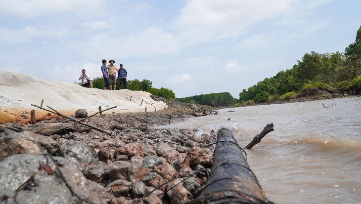 điện gió - Ảnh 1.