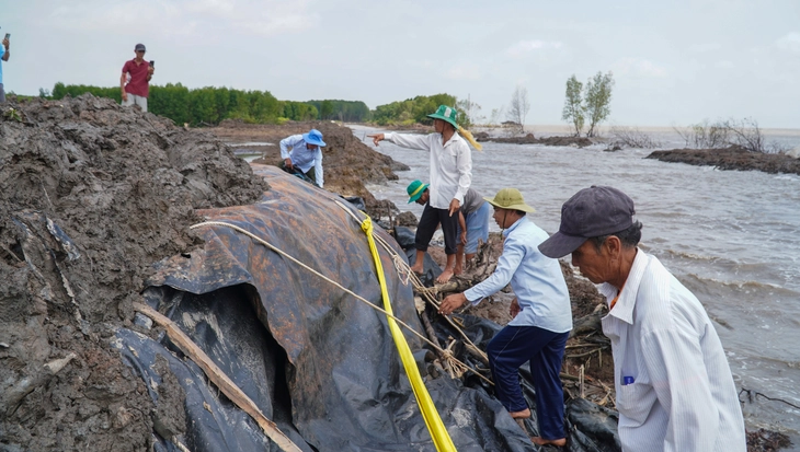 điện gió - Ảnh 2.