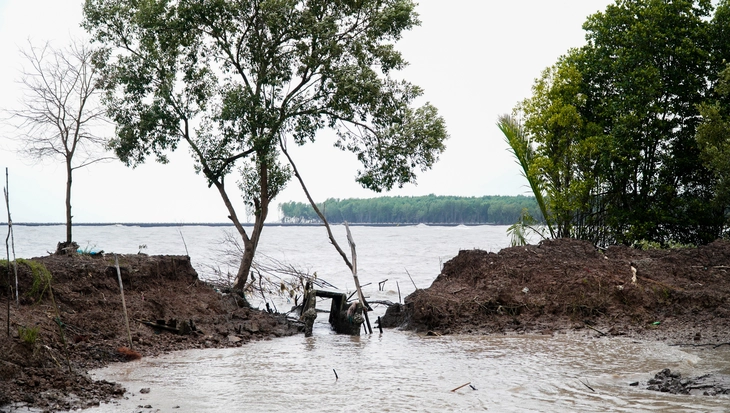 điện gió - Ảnh 3.