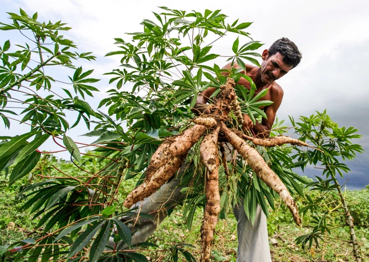 Campuchia - Ảnh 1.