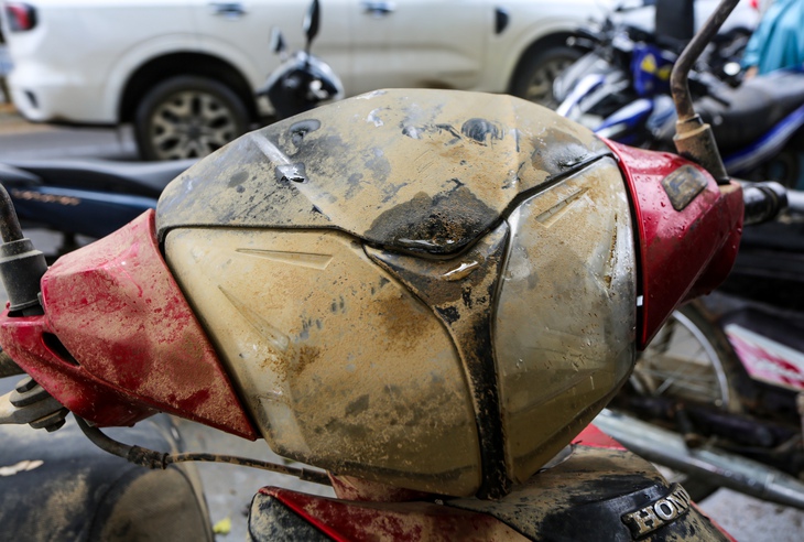 Phú Yên - Ảnh 6.