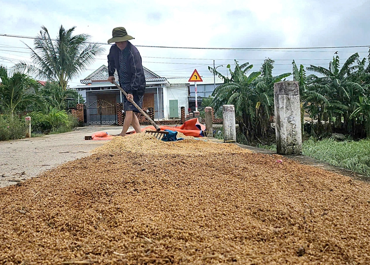 dọn bùn - Ảnh 3.