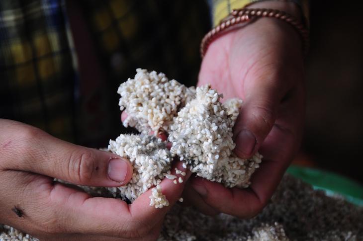 cứu trợ - Ảnh 7.