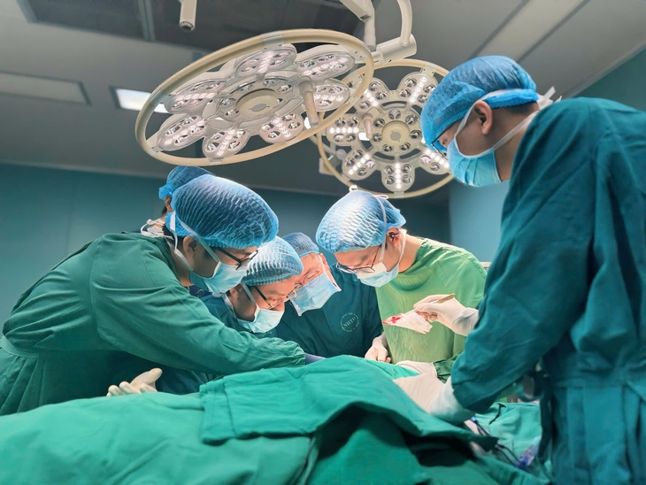 vi phẫu - Ảnh 1.