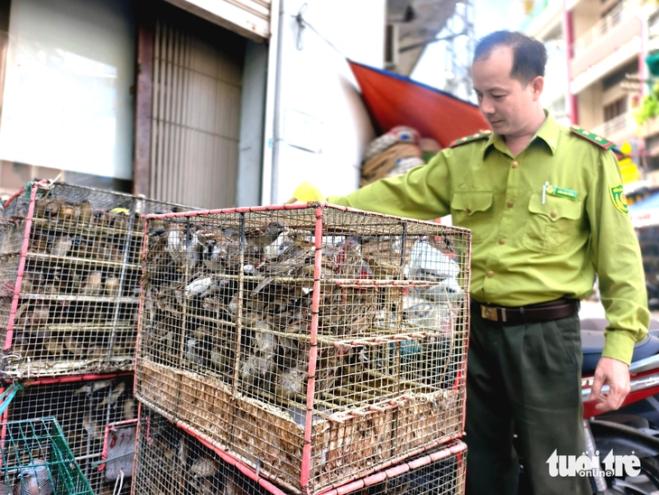 Thuận Kiều - Ảnh 2.