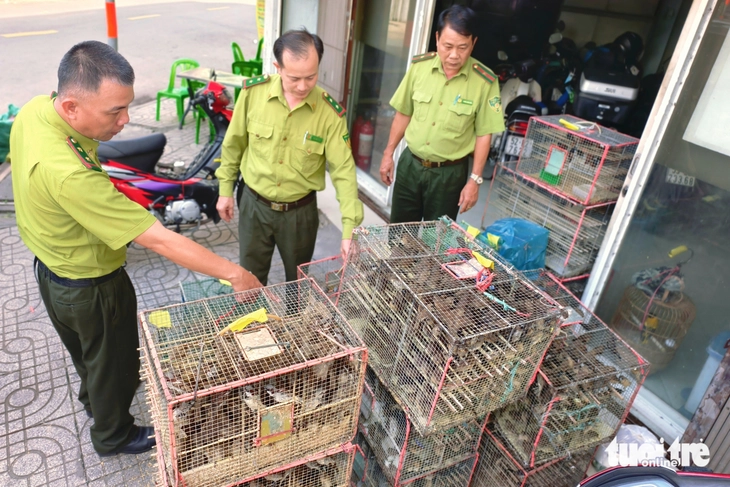 Thuận Kiều - Ảnh 1.