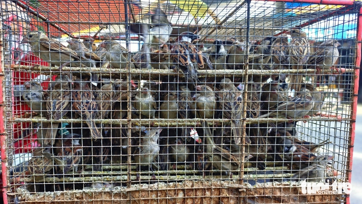 Thuận Kiều - Ảnh 5.