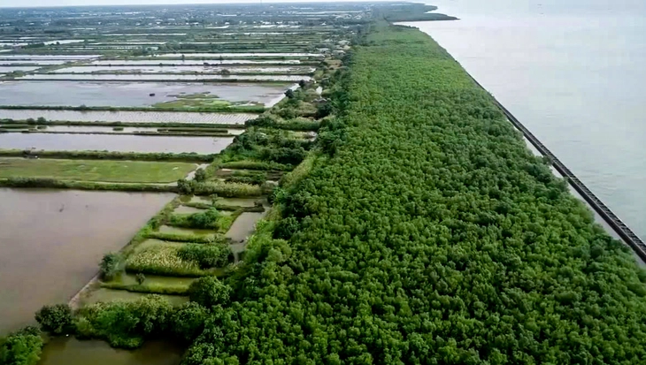 Cà Mau phê duyệt làm kè gần 100 tỉ đồng với giải pháp ‘giảm sóng từ xa’ - Ảnh 1.