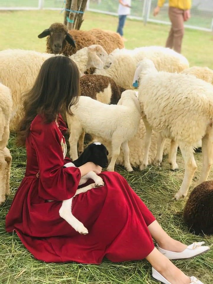 Năng lượng - Ảnh 3.