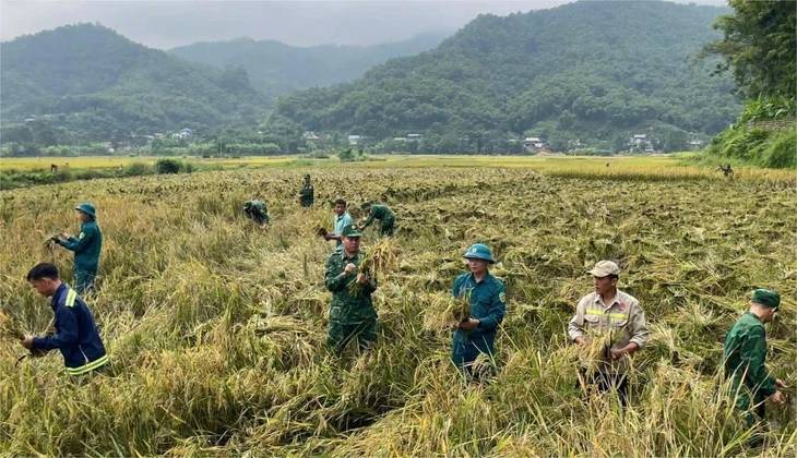 bản làng - Ảnh 5.