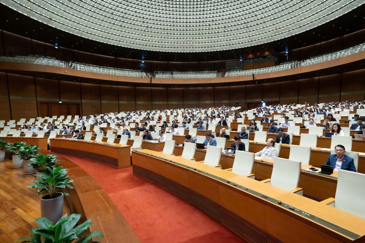nghị trường - Ảnh 1.