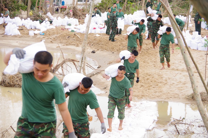 tuy phước - Ảnh 1.