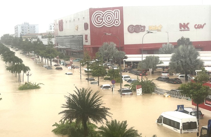 chung cư - Ảnh 1.