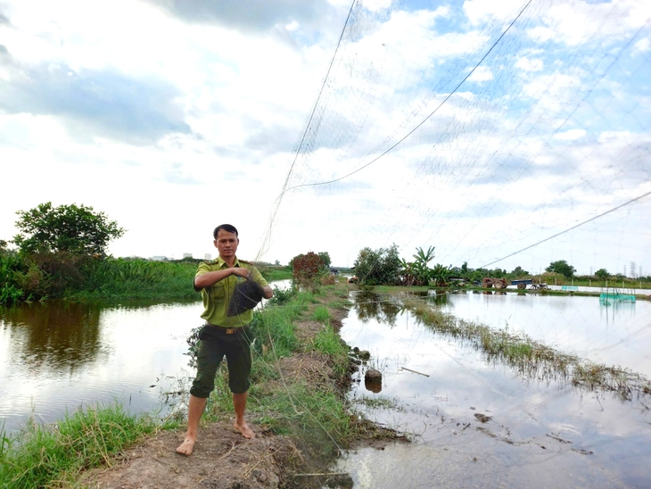 Kiểm lâm TP.HCM tháo gỡ 650m lưới giăng bẫy chim ở phường Tân Hải, xã Nghĩa Thành, Củ Chi - Ảnh 1.