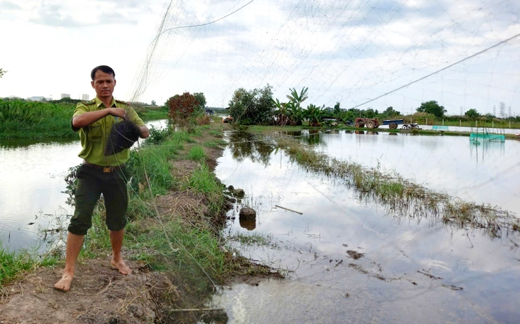 Kiểm lâm tháo gỡ 240m lưới giăng bẫy chim ở xã Đông Thạnh, TP.HCM - Ảnh 7.