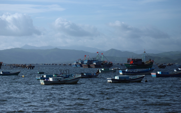 Xã có vịnh Vũng Rô lập các tổ ứng phó với bão số 15- Ảnh 3.