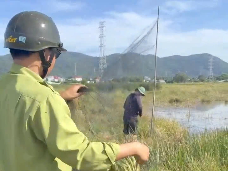 Kiểm lâm TP.HCM tháo gỡ 650m lưới giăng bẫy chim ở phường Tân Hải, xã Nghĩa Thành, Củ Chi - Ảnh 3.