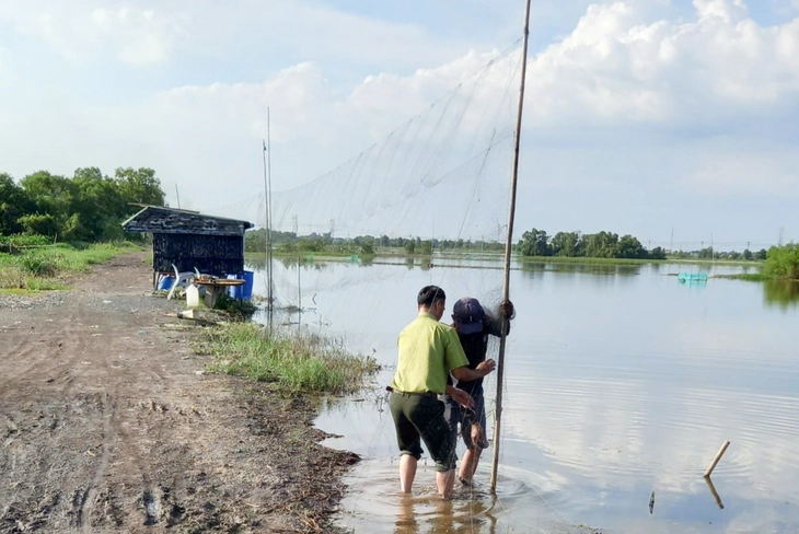 Kiểm lâm TP.HCM tháo gỡ 650m lưới giăng bẫy chim ở phường Tân Hải, xã Nghĩa Thành, Củ Chi - Ảnh 2.