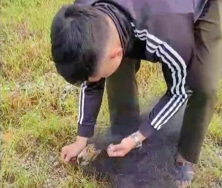 Kiểm lâm TP.HCM tháo gỡ 650m lưới giăng bẫy chim ở phường Tân Hải, xã Nghĩa Thành, Củ Chi - Ảnh 5.