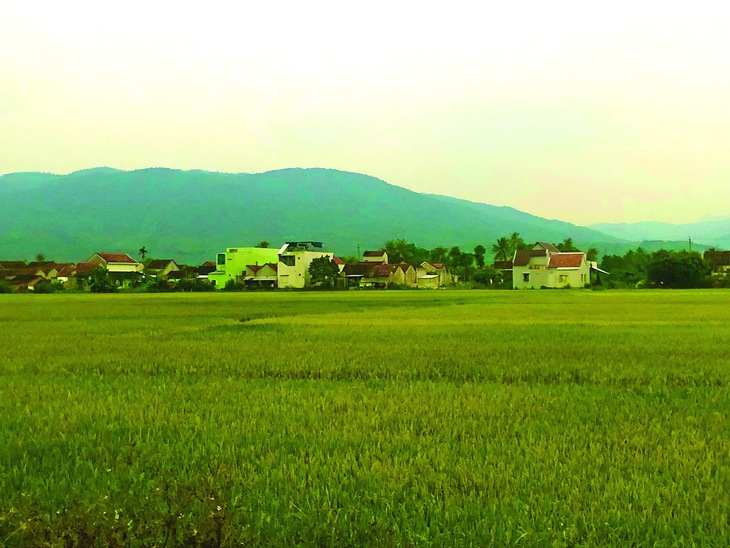 Lũ Phú Yên  - Ảnh 1.