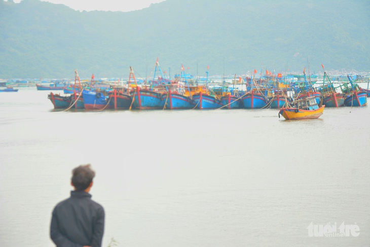 Khu vực vịnh Vũng Rô lập các tổ ứng phó với bão số 15 - Ảnh 1.