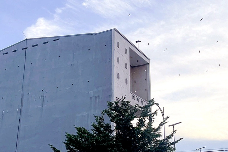 Nhà nuôi chim yến mở loa từ sáng đến đêm suốt 16 năm qua, phải làm sao? - Ảnh 1.