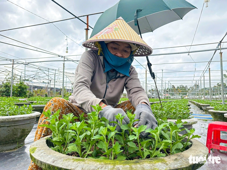 Đà Nẵng - Ảnh 1.