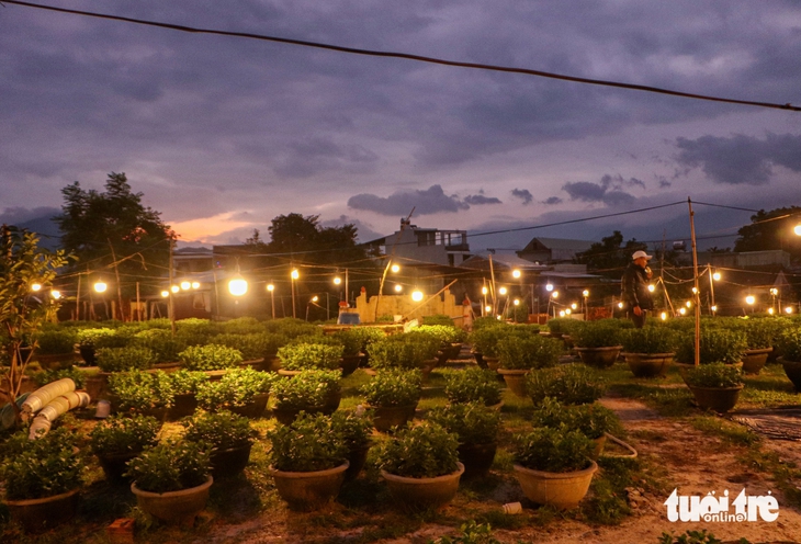 Đà Nẵng - Ảnh 6.