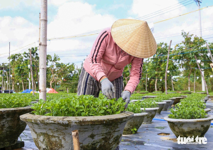 Đà Nẵng - Ảnh 3.