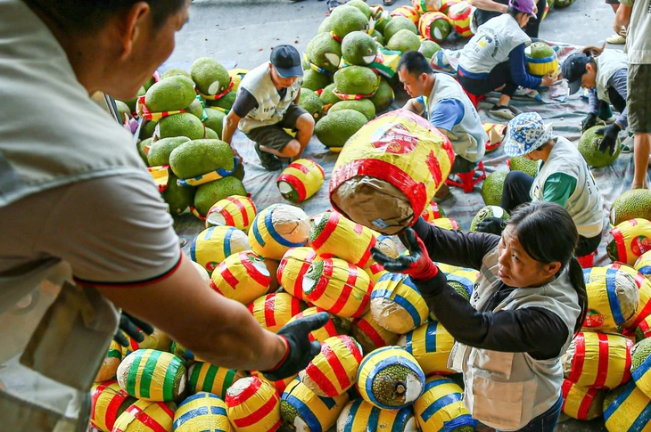 Ký nghị định thư xuất khẩu mít tươi sang Trung Quốc - Ảnh 2.