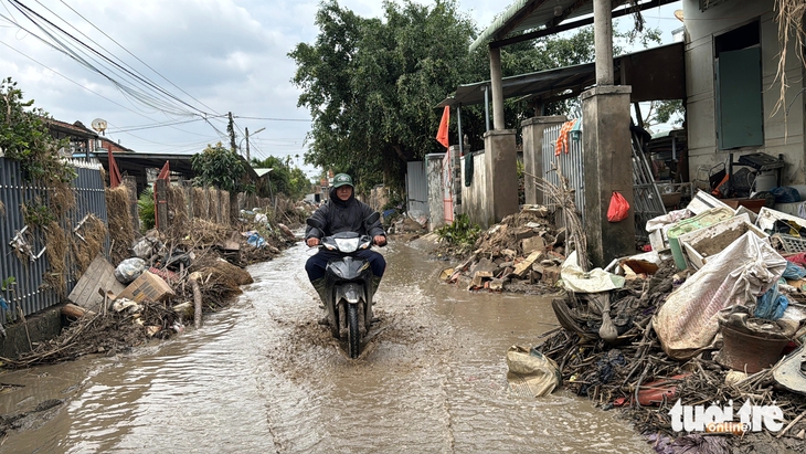 Lũ dữ sông Ba tràn về, Bãi Điều tan hoang - Ảnh 10.
