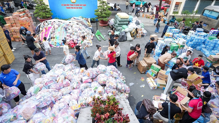 Mặt trận Tổ quốc Việt Nam - Ảnh 1.