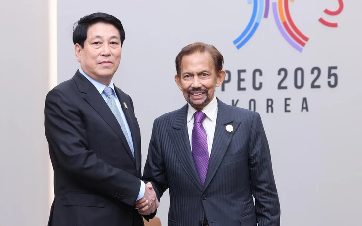 Quốc vương Brunei đến Hà Nội, bắt đầu thăm chính thức Việt Nam - Ảnh 3.