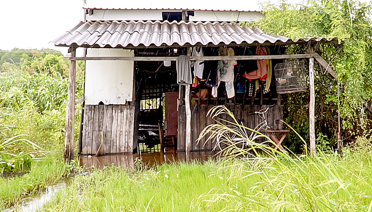 Hơn 3.000 hộ nghèo và cận nghèo ở Cà Mau được xem xét hỗ trợ 1 triệu đồng do thiên tai - Ảnh 1.