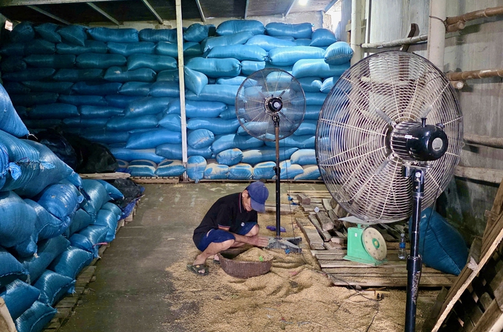 Giúp dân vùng bão lũ tái thiết sản xuất - Ảnh 3.