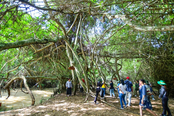 Tây ninh - Ảnh 2.