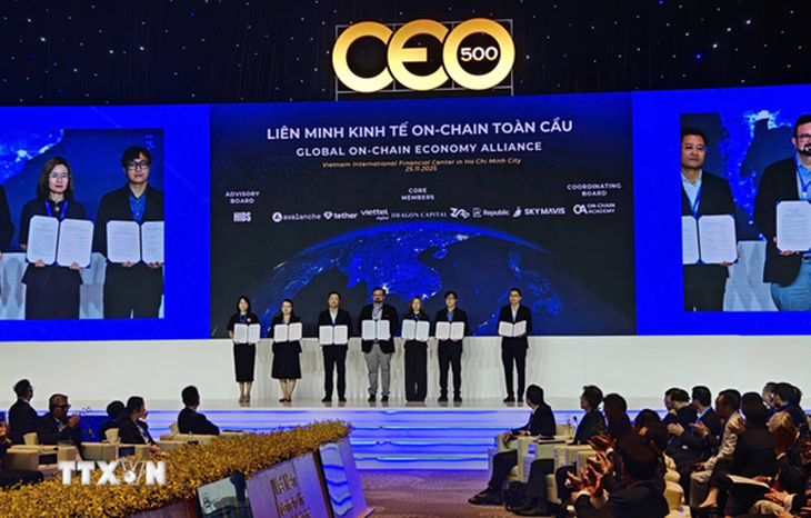 Liên minh Kinh tế On-chain toàn cầu: Biểu tượng của tư duy 'Tự lực kết hợp ngoại lực' - Ảnh 3.