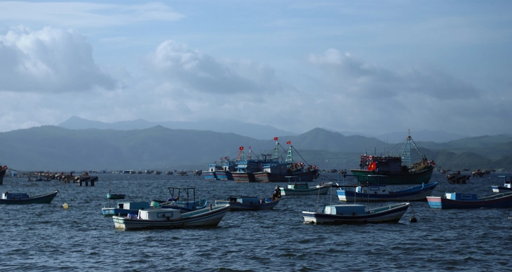 Dân vùng lũ vừa sửa nhà, vừa lo bão số 15 - Ảnh 3.